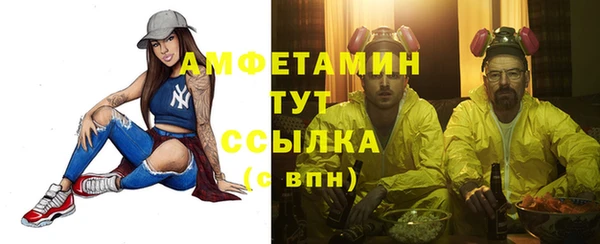 СК Медвежьегорск