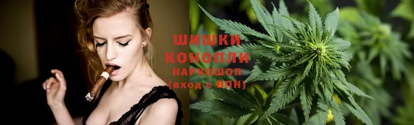 СК Медвежьегорск