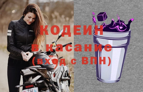 СК Медвежьегорск