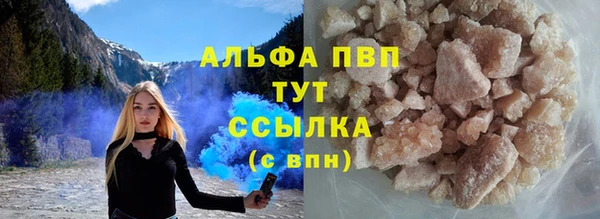 прущие грибы Верхнеуральск