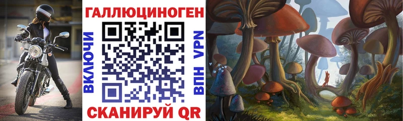 Псилоцибиновые грибы Psilocybine cubensis blacksprut как зайти Менделеевск