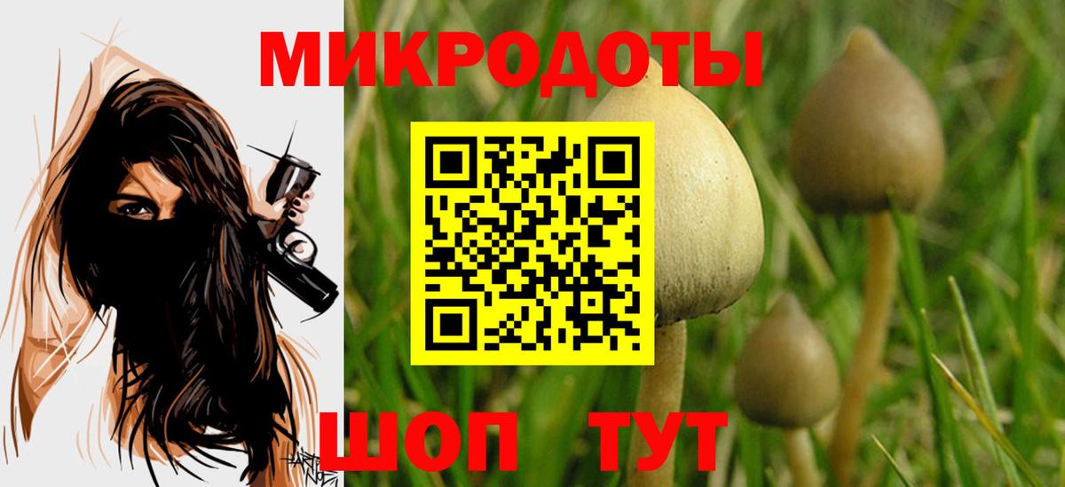 Галлюциногенные грибы MAGIC MUSHROOMS Менделеевск