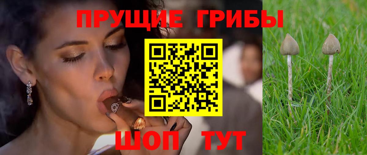 Псилоцибиновые грибы Magic Shrooms  Вход с VPN  Псилоцибиновые грибы мухоморы  Менделеевск 